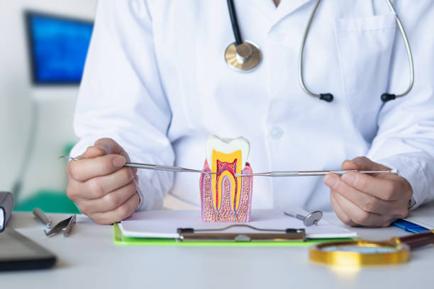 Best Tooth Infection Emergency Dentist  in Brewster, NY